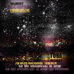Cover of Nocturnal Feelings