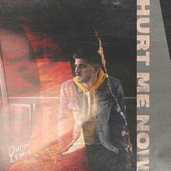 Cover of Hurt Me Now