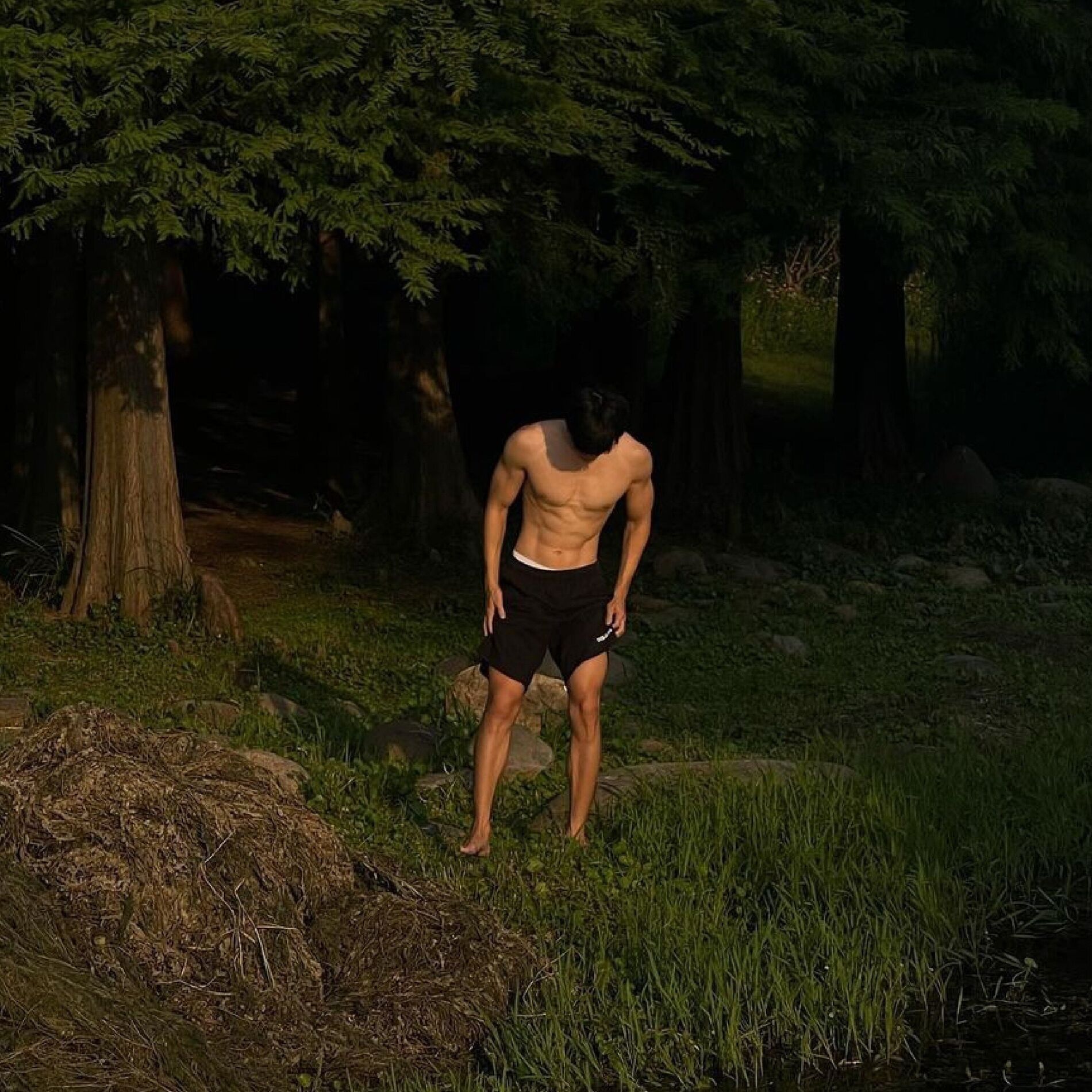 Album cover of ปลดปล่อย