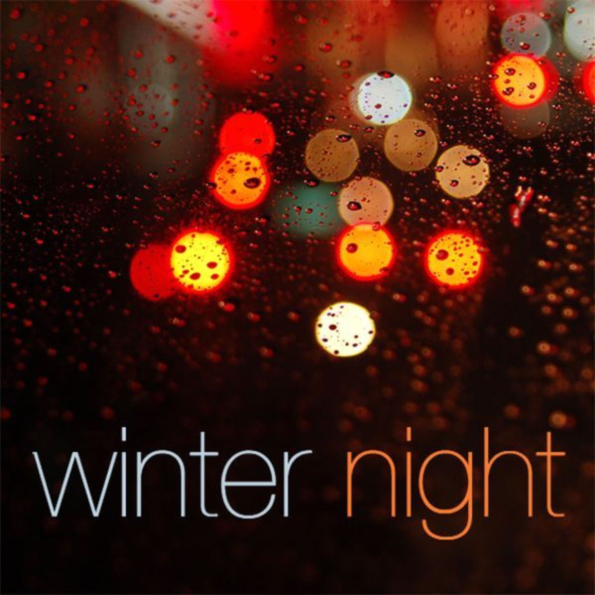 Album cover of Winter Night