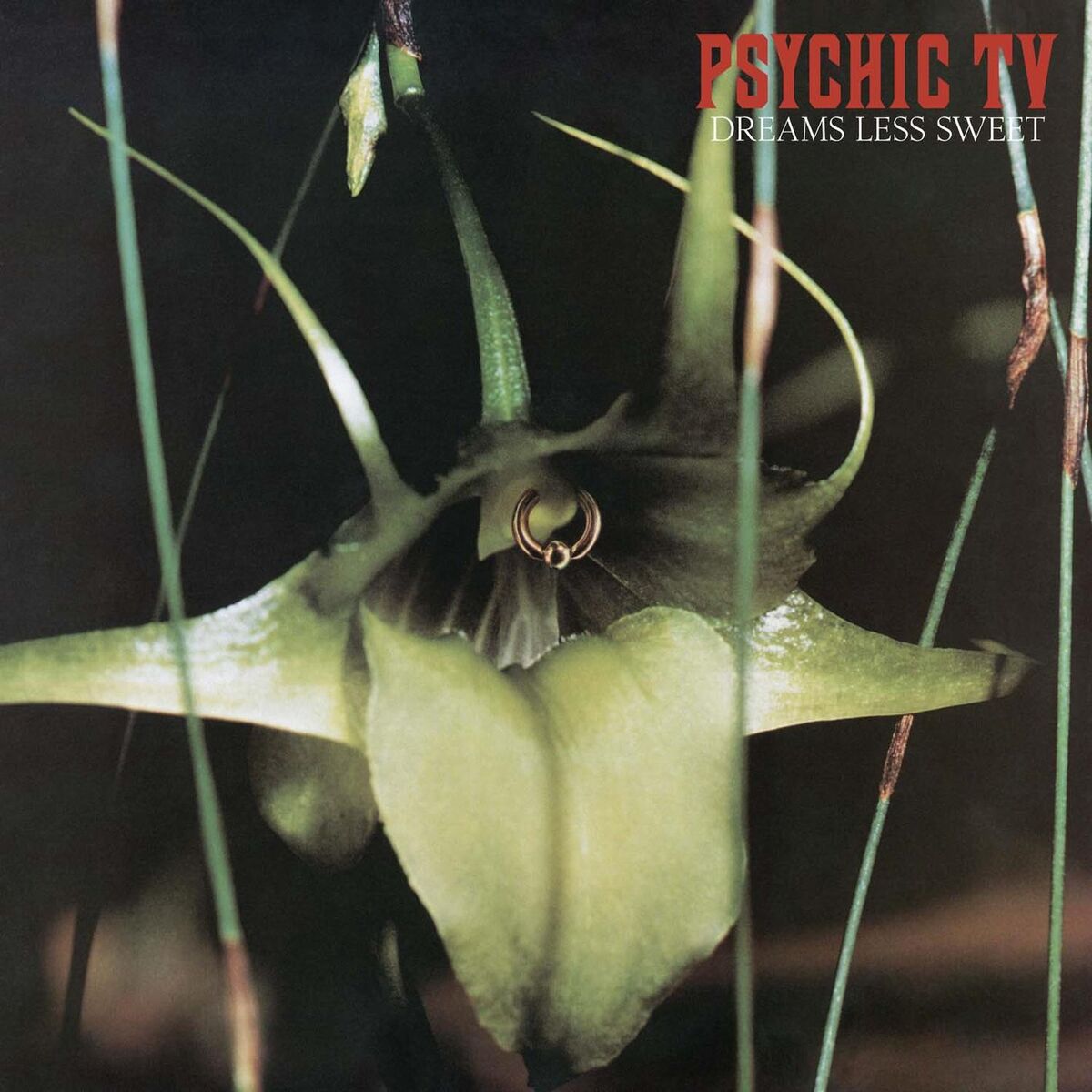 Album cover of Dreams Less Sweet