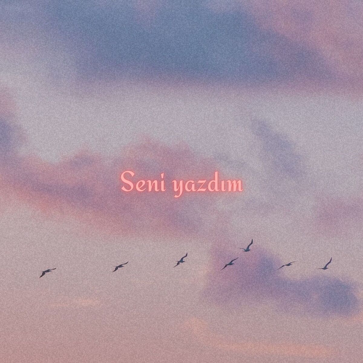 Album cover of Seni Yazdım