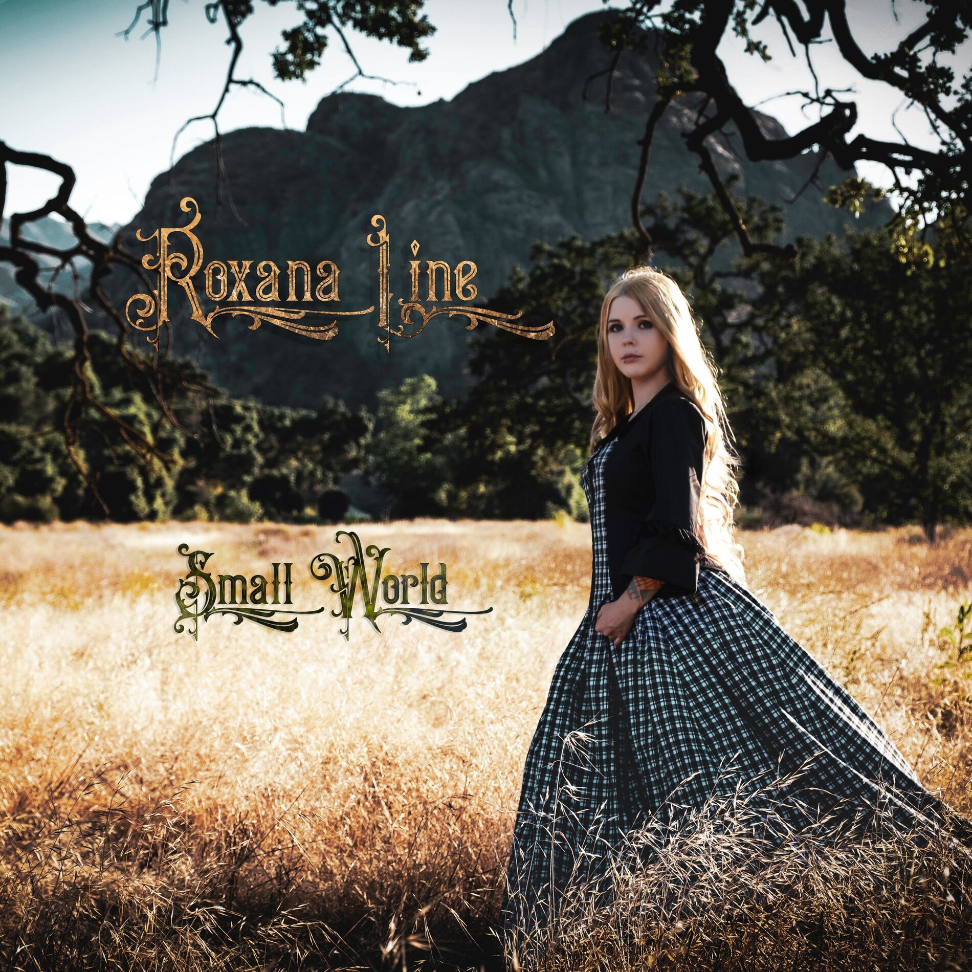 Album cover of Small World