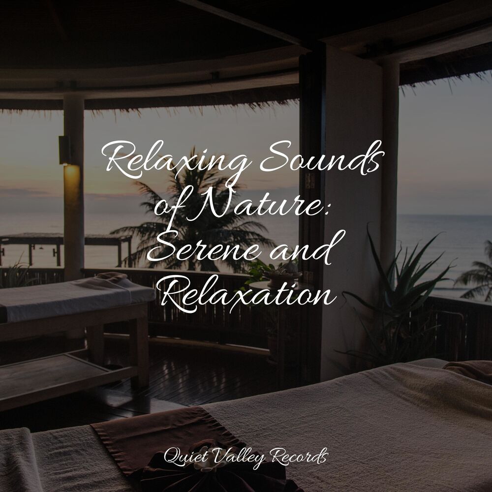 Picture of Relaxing Sounds of Nature: Serene and Relaxation