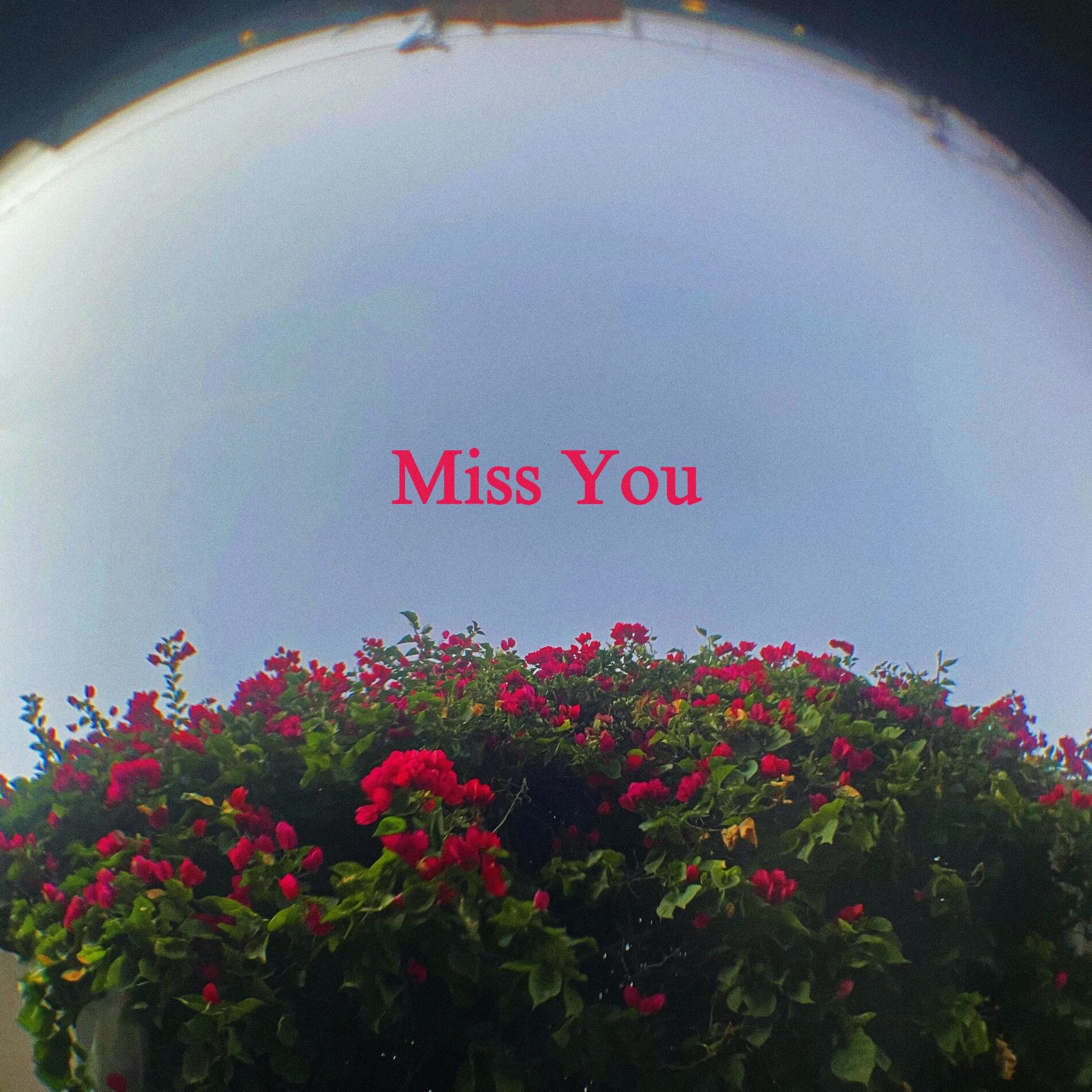 Album cover of Miss You