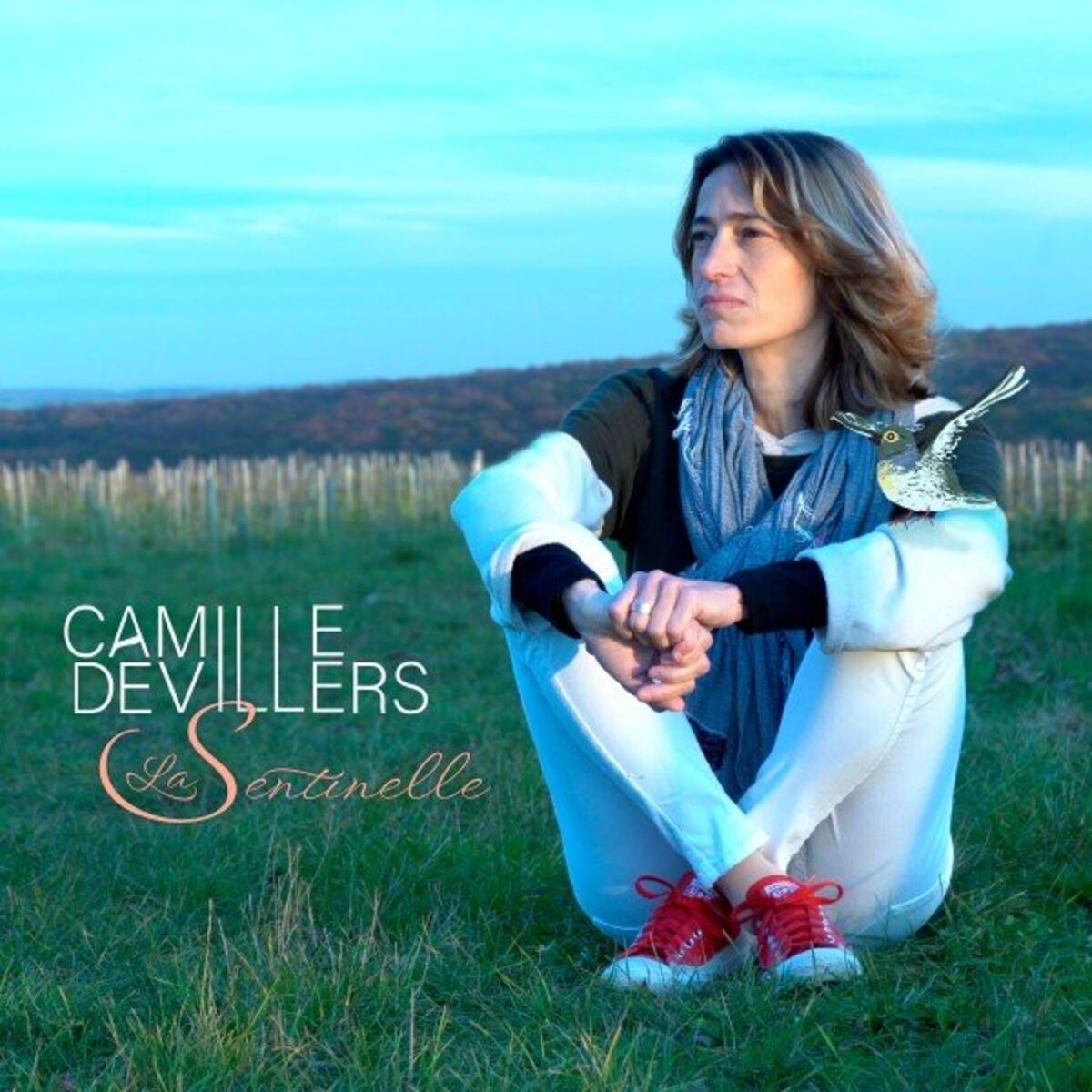 Album cover of La sentinelle
