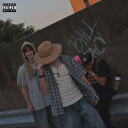 Cover of MFA