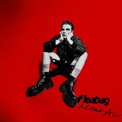 Cover of fleabag (acoustic)