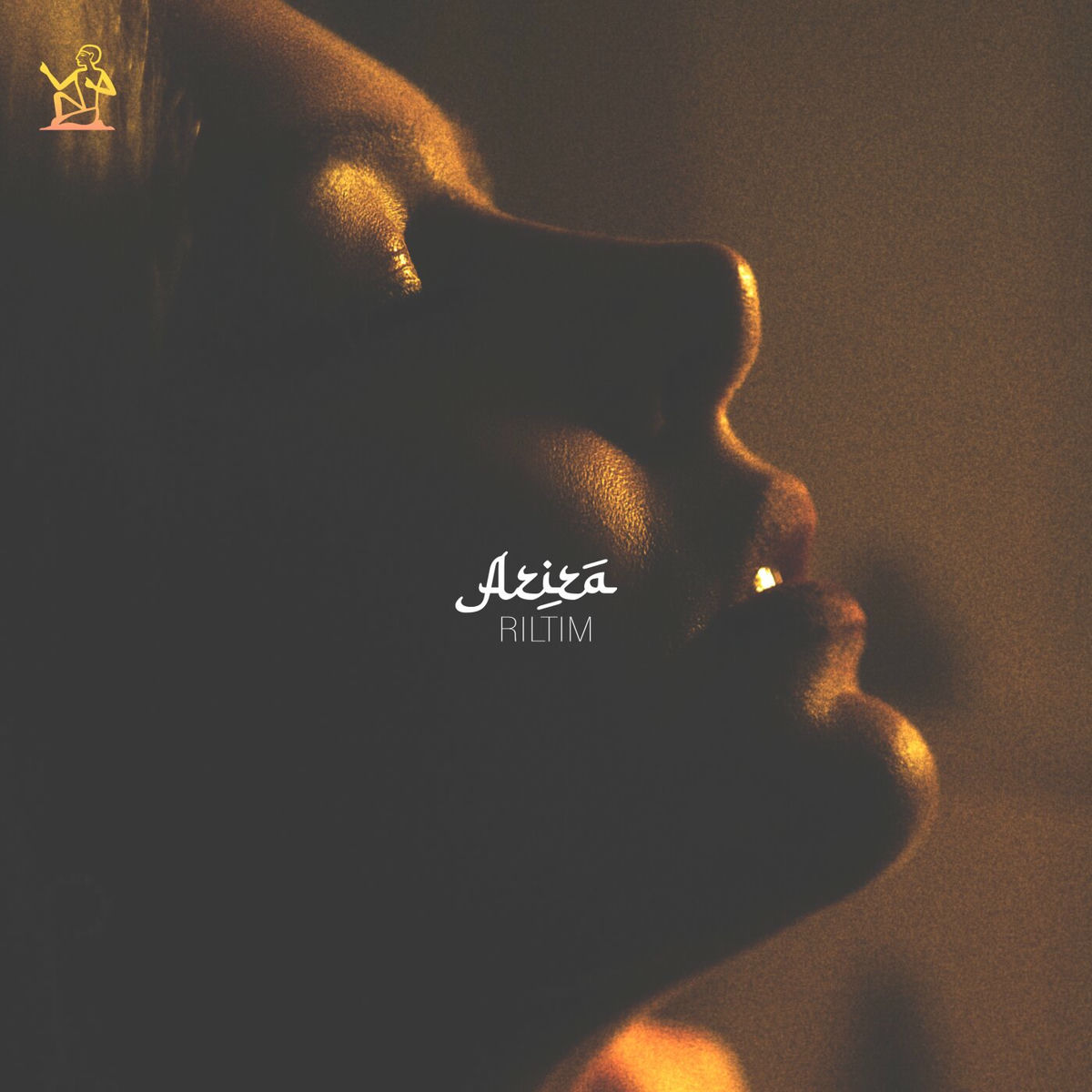 Album cover of Aziza