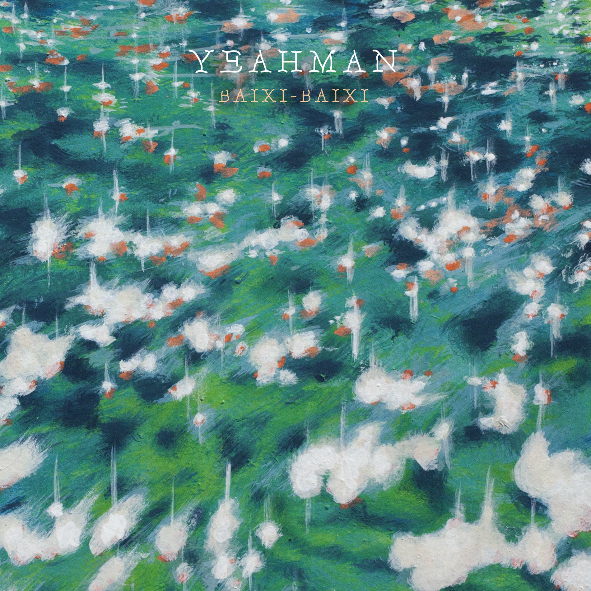 Album cover of Baixi Baixi