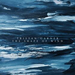 Cover of The Shape of Wind