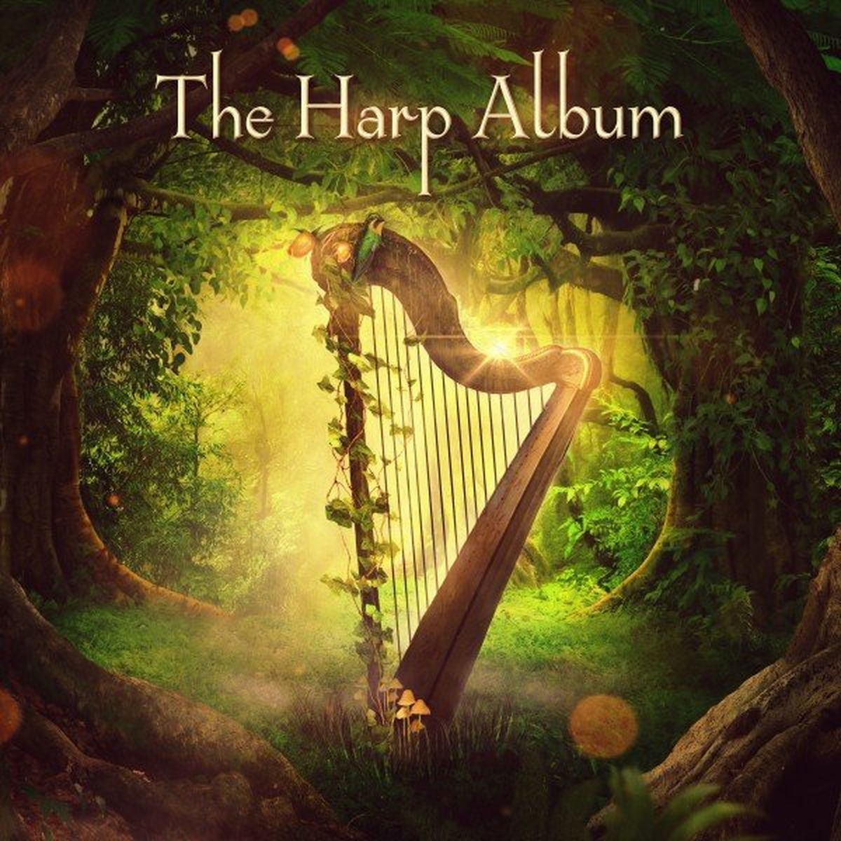 Album cover of The Harp Album