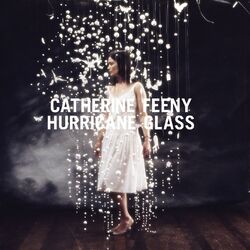 Cover of Hurricane Glass