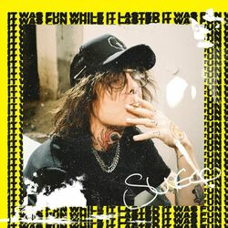 Cover of It Was Fun While It Lasted