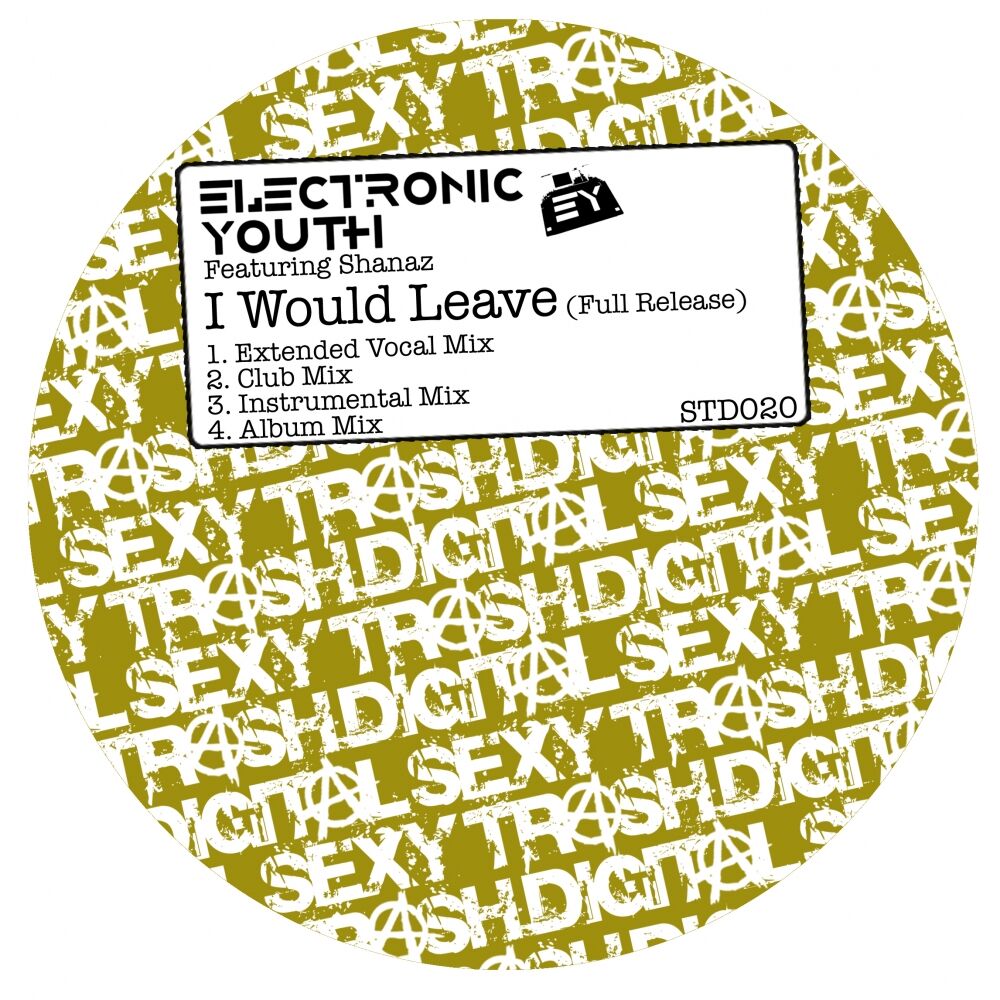 Picture of I Would Leave