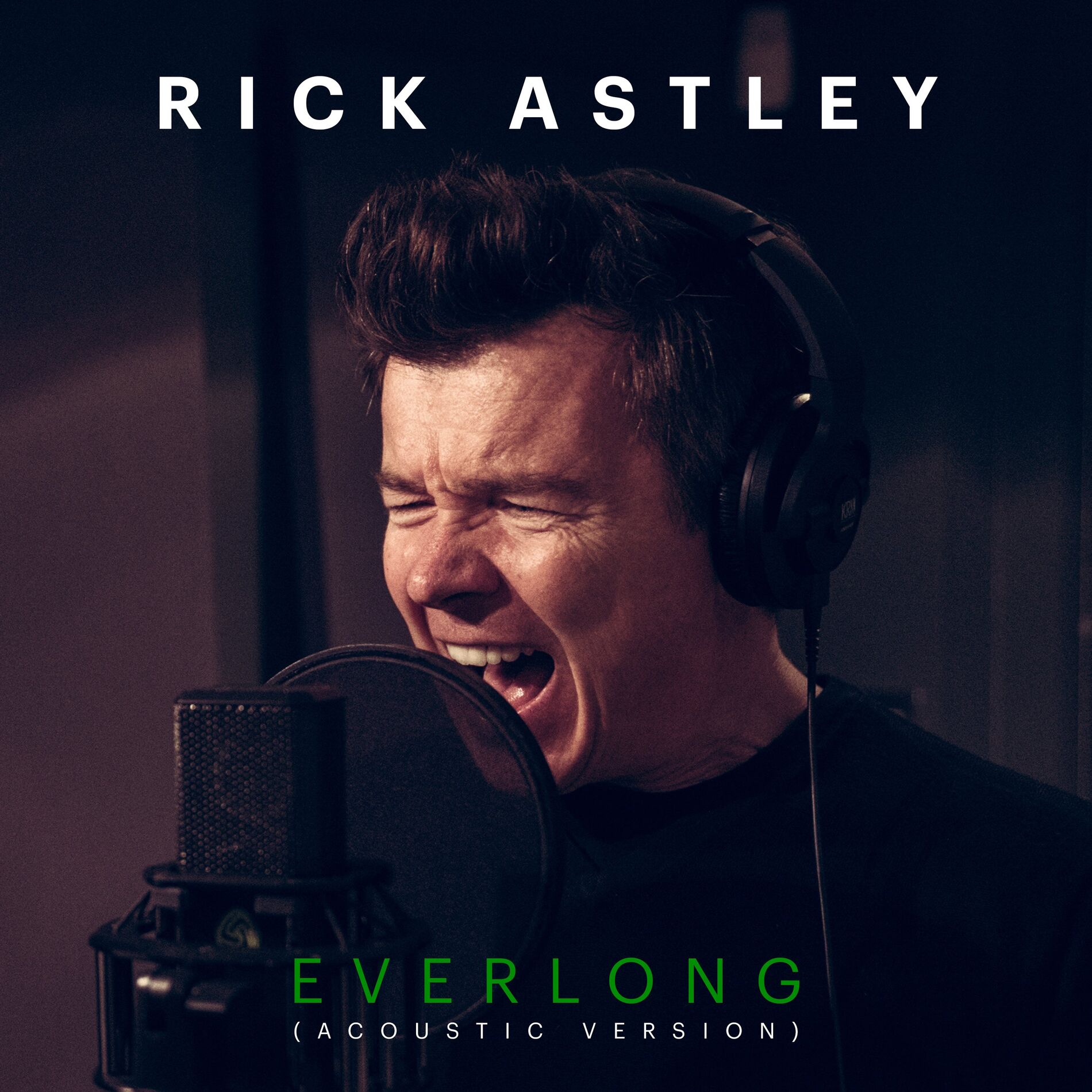 Album cover of Everlong