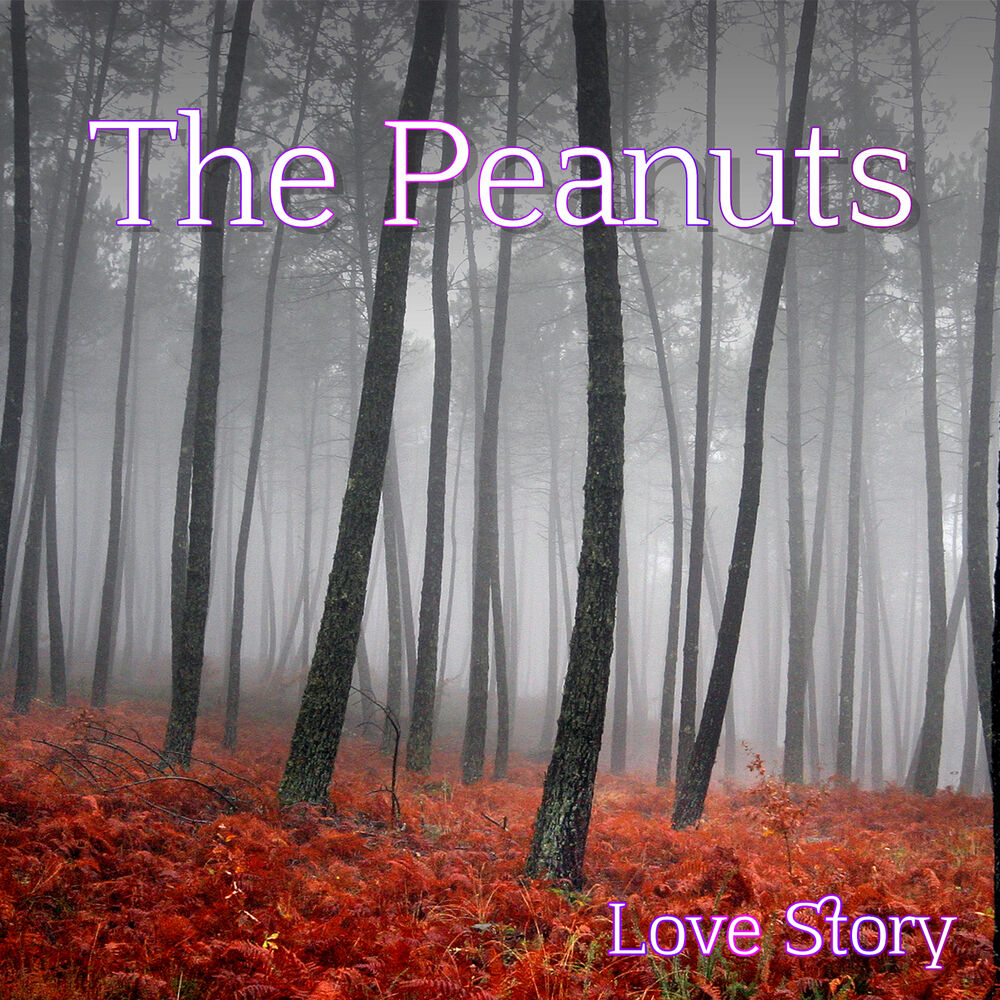 Picture of Love Story