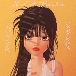 Cover of Not A Barbie
