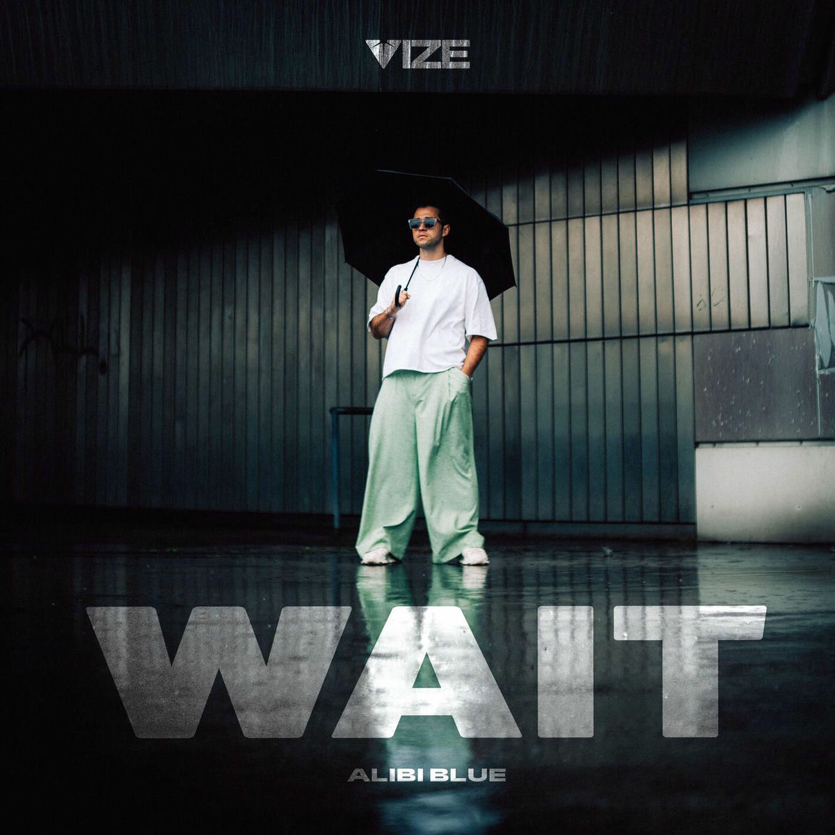 Album cover of Wait (Alibi Blue)