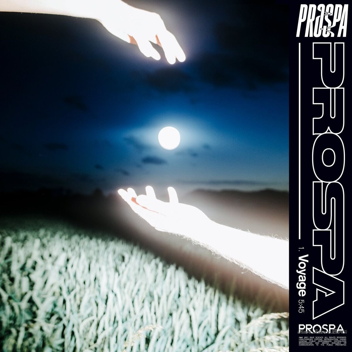 Album cover of Voyage