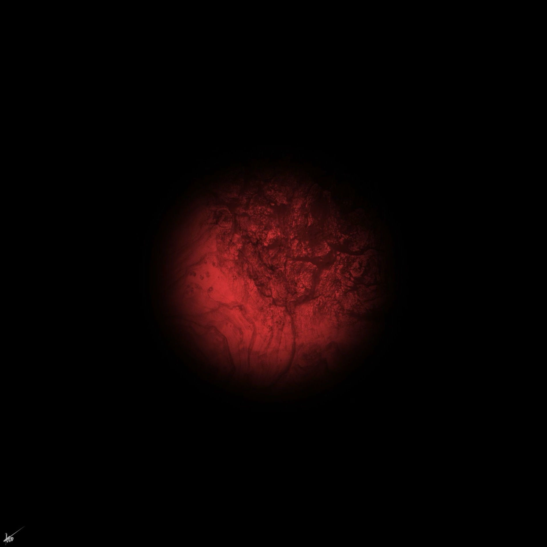 Album cover of Luna I