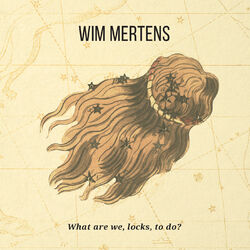 Cover of What are we, locks, to do?
