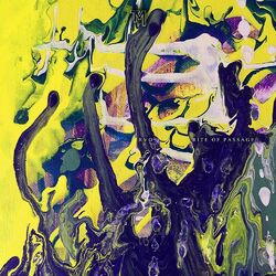 Cover of Rite of Passage