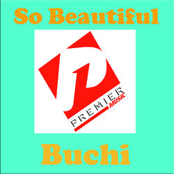 Cover of So Beautiful