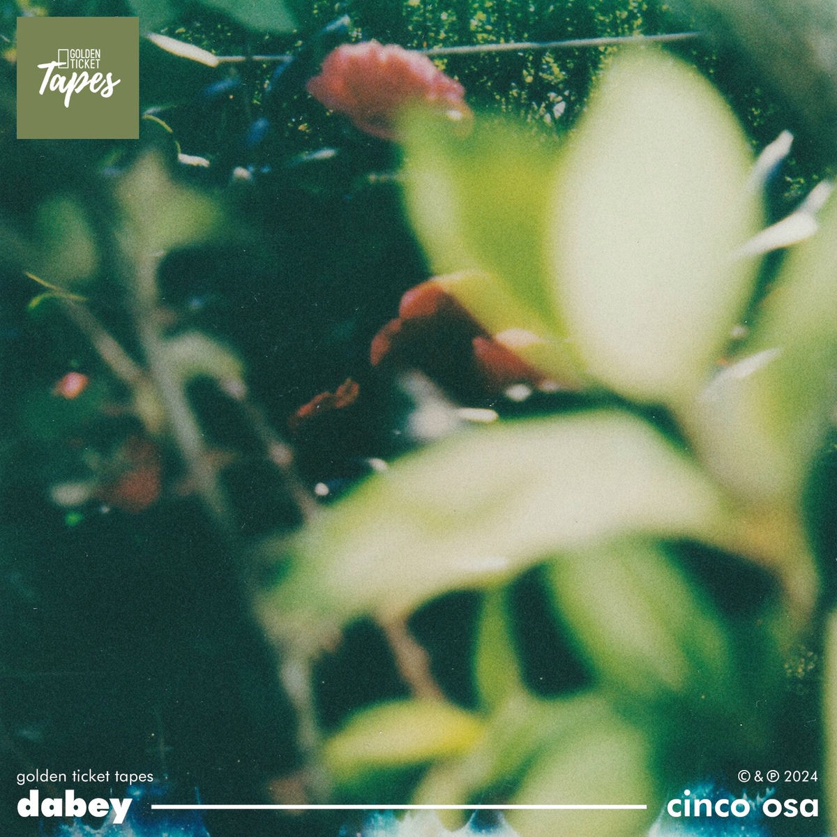 Album cover of Cinco Osa
