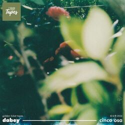 Cover of Cinco Osa