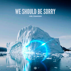 Cover of We Should Be Sorry