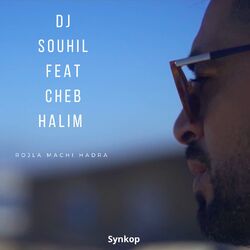 Cover of Rojla Machi Hadra