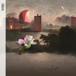 Cover of Troubled Beauty