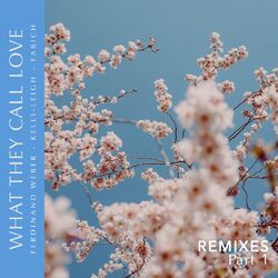 Cover of What They Call Love Remixes, Pt.1