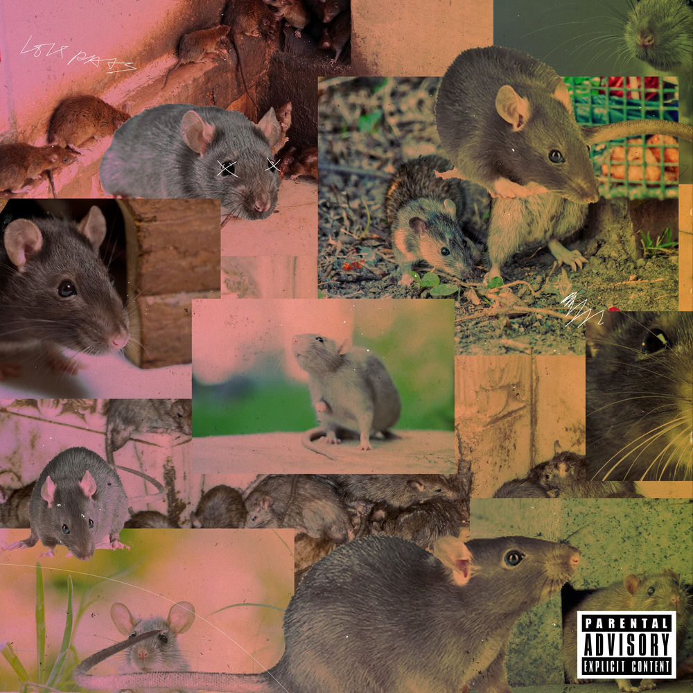 Cover du titre Smog