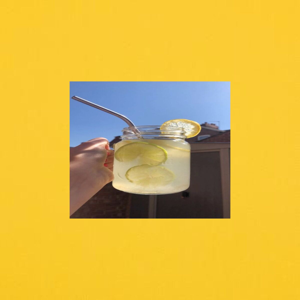 Album cover of lemonade