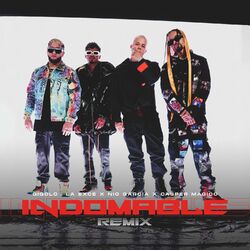 Cover of Indomable (Remix)
