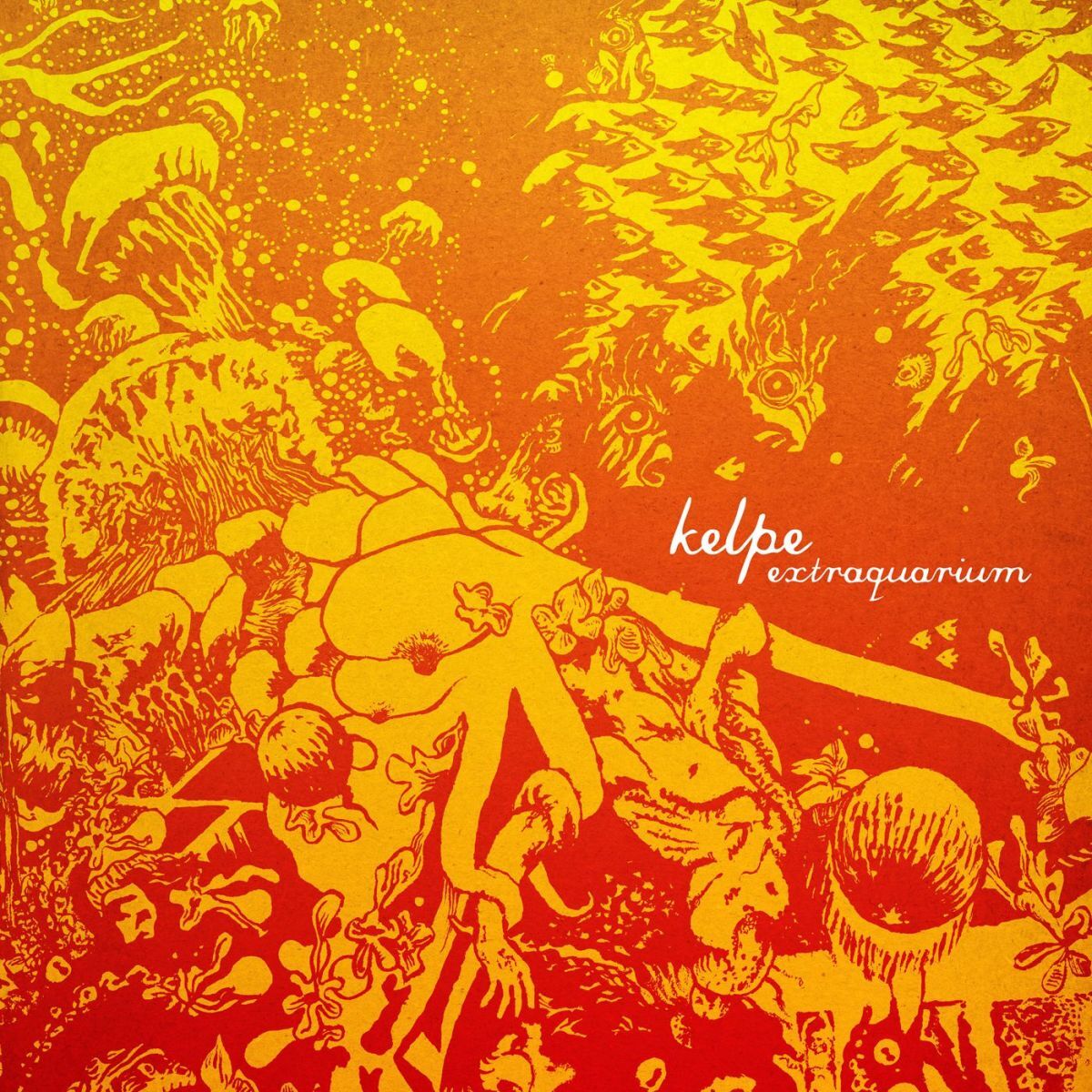 Album cover of Extraquarium