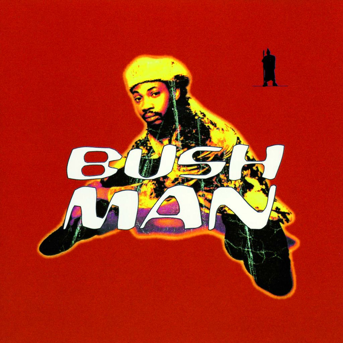Album cover of Bushman