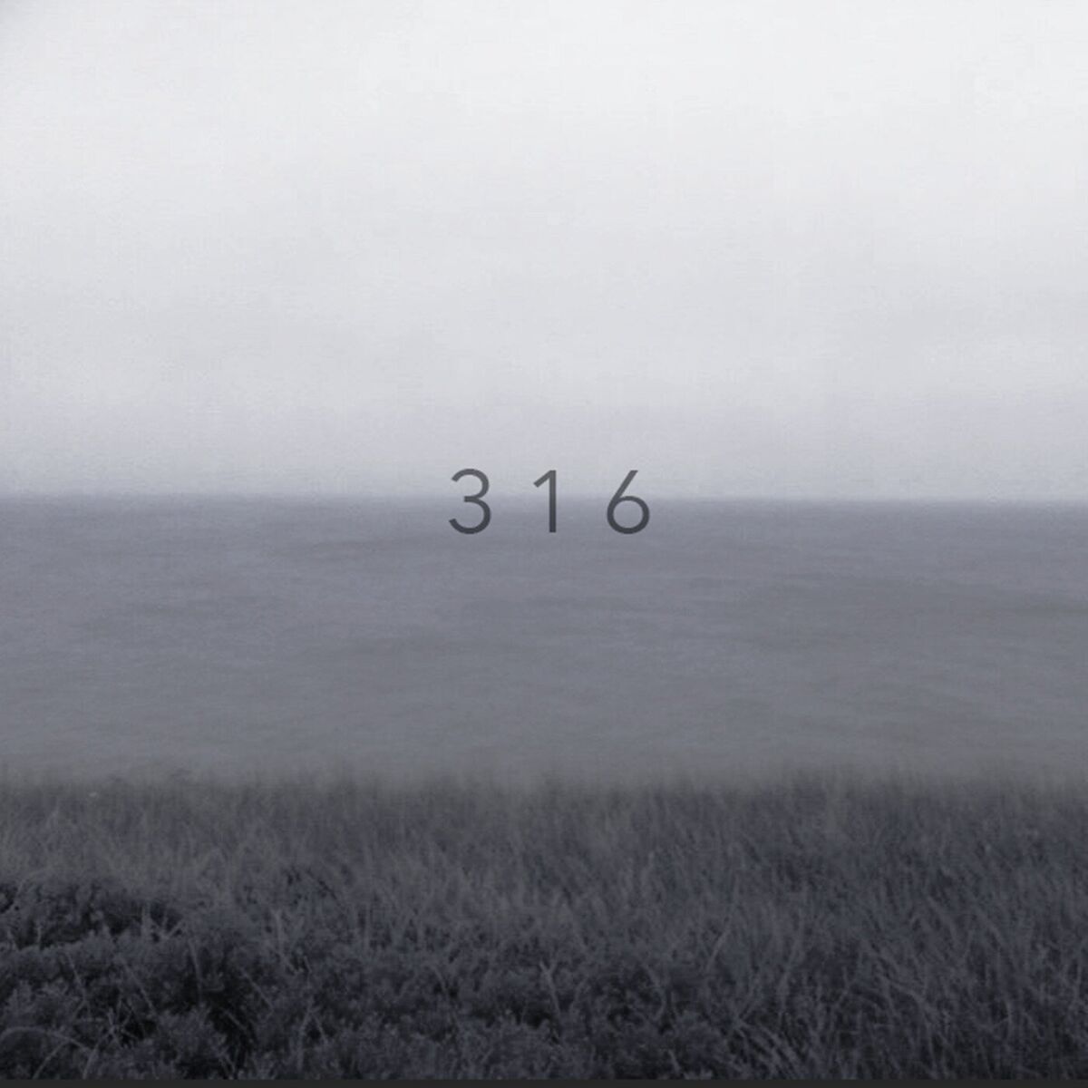 Album cover of 3 1 6