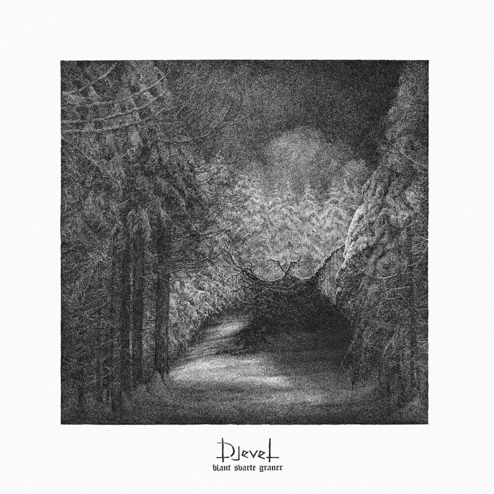 Picture of Blant Svarte Graner