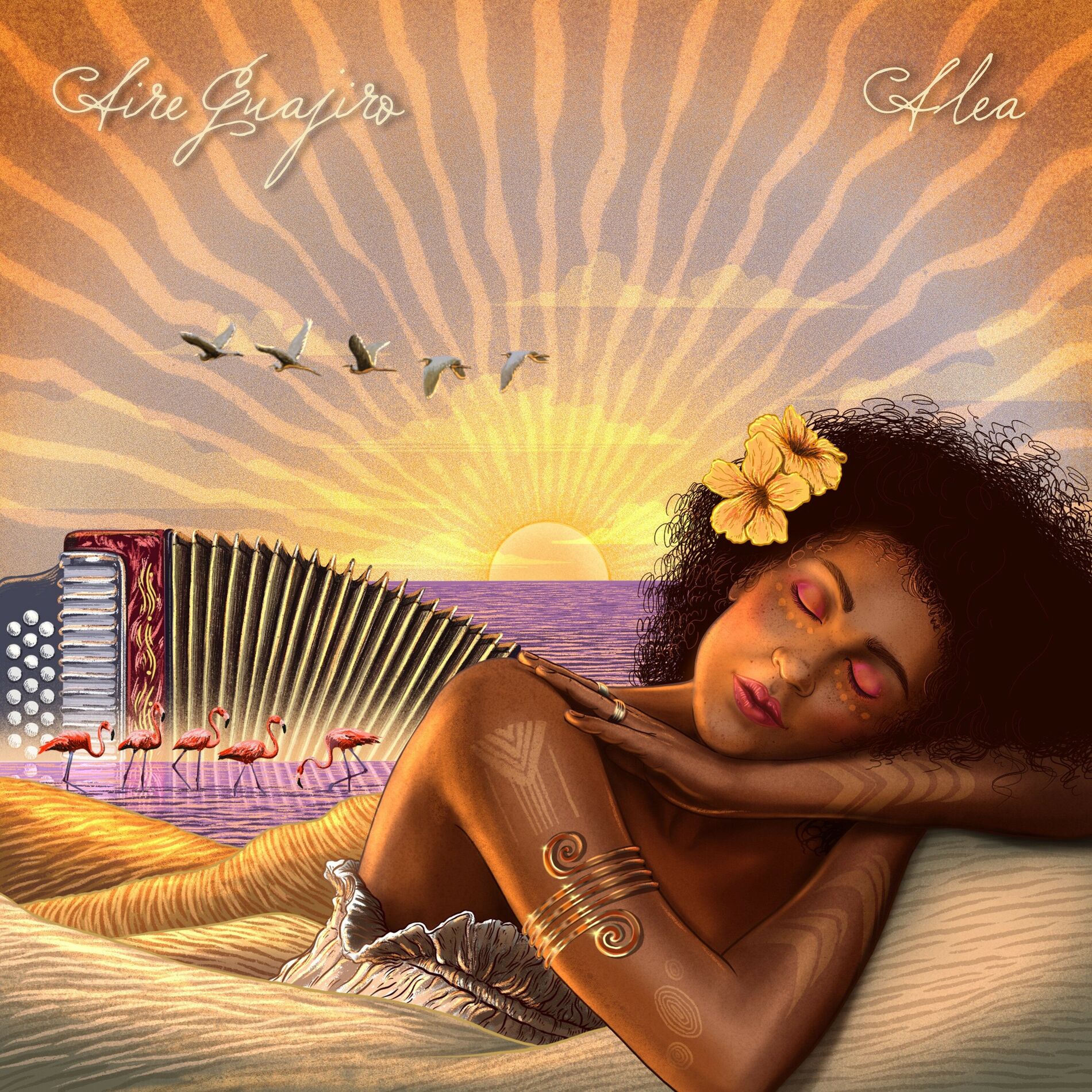 Album cover of Aire Guajiro