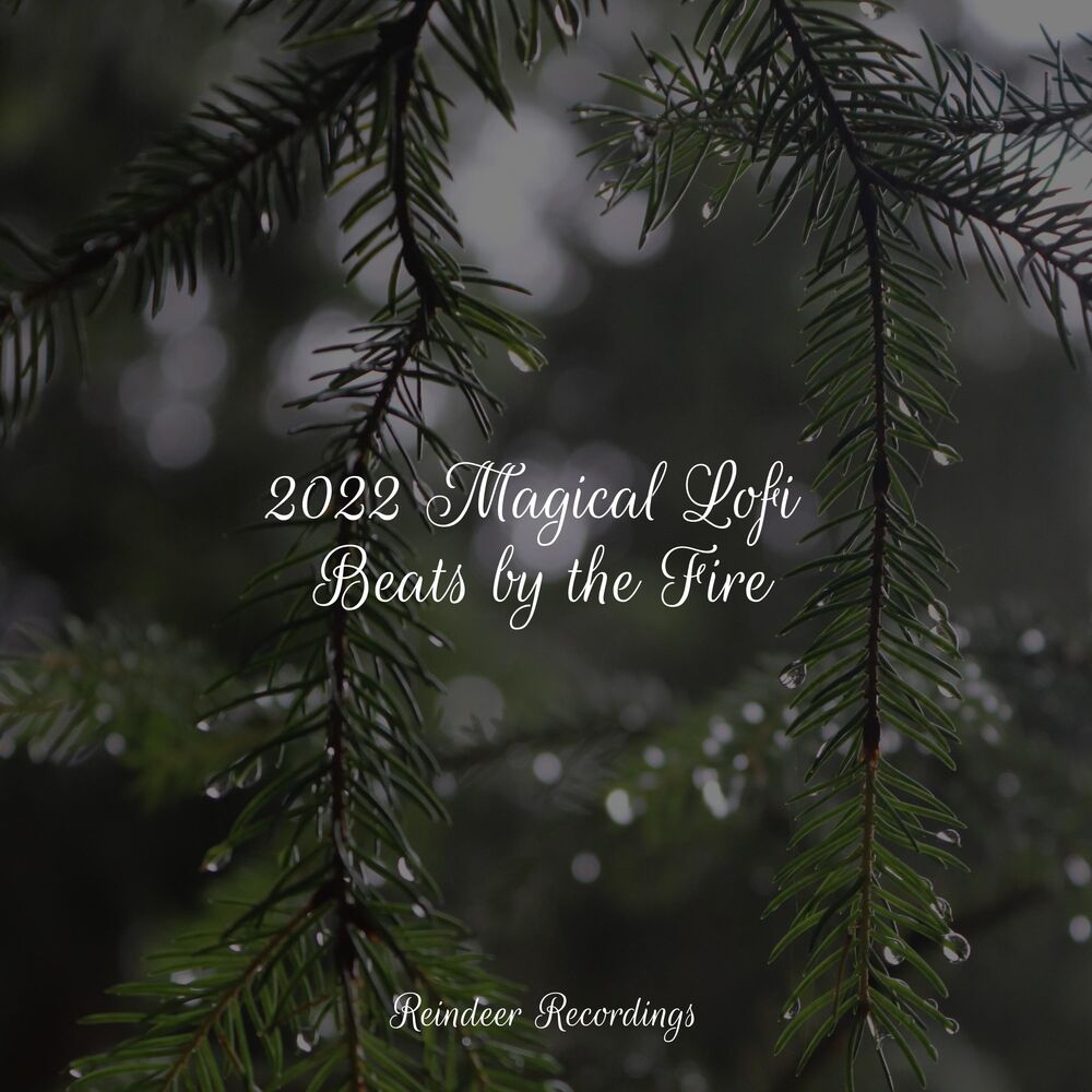 Picture of 2022 Magical Lofi Beats by the Fire