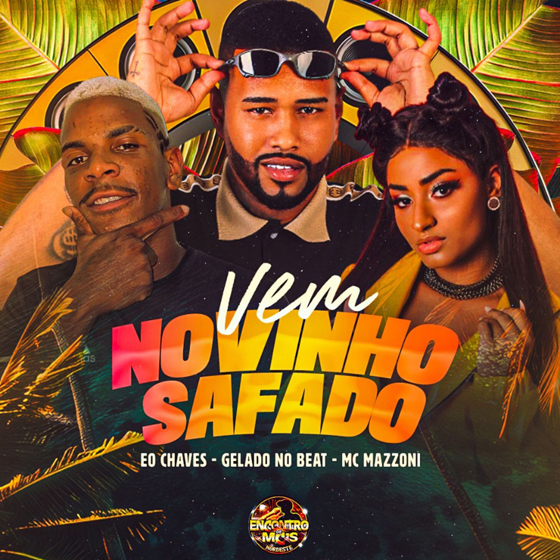 Album cover of Vem Novinho Safado