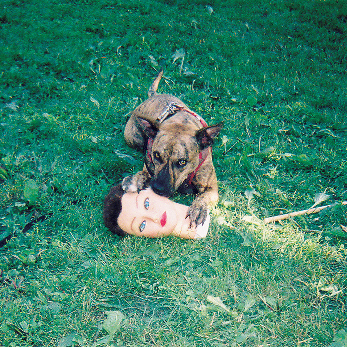 Album cover of Cody