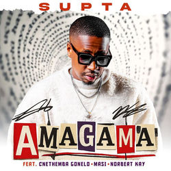 Cover of Amagama by undefined