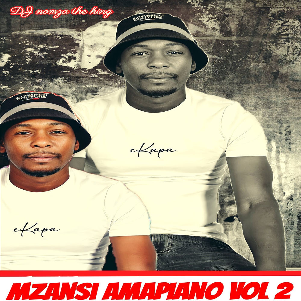 MZANSI AMAPIANO, Vol. 2