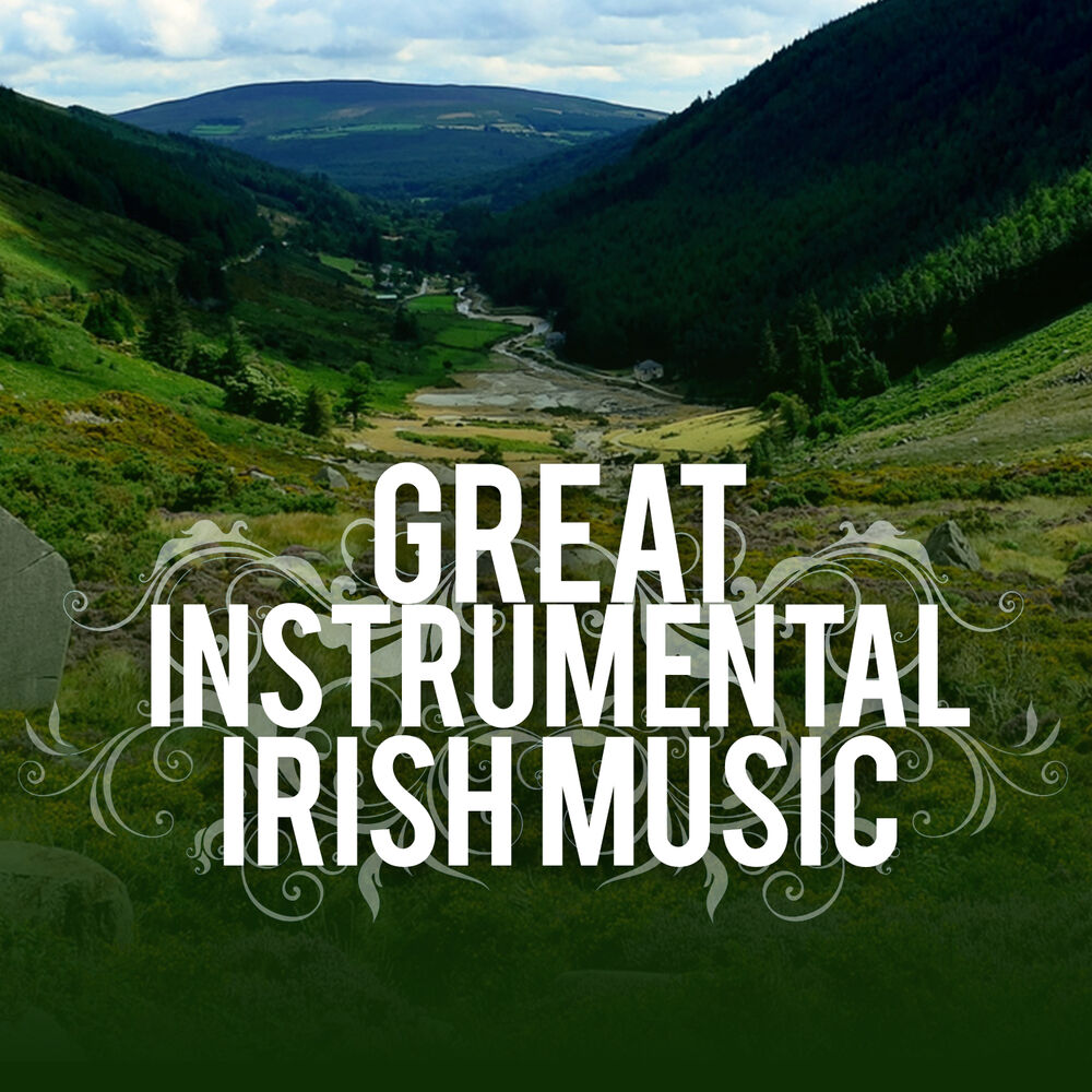 Picture of Great Instrumental Irish Music