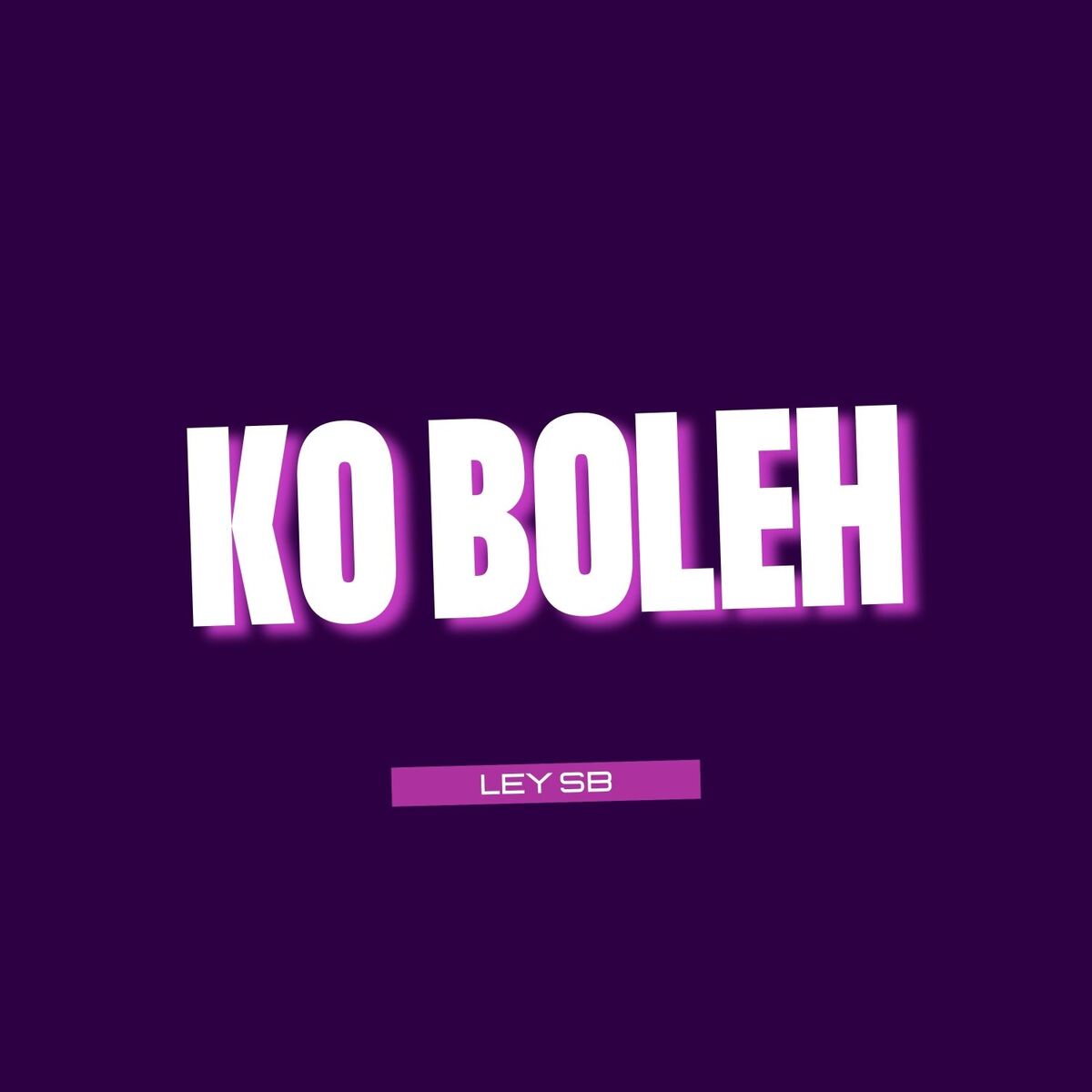 Album cover of Ko Boleh