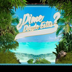 Cover of Dime donde estas
